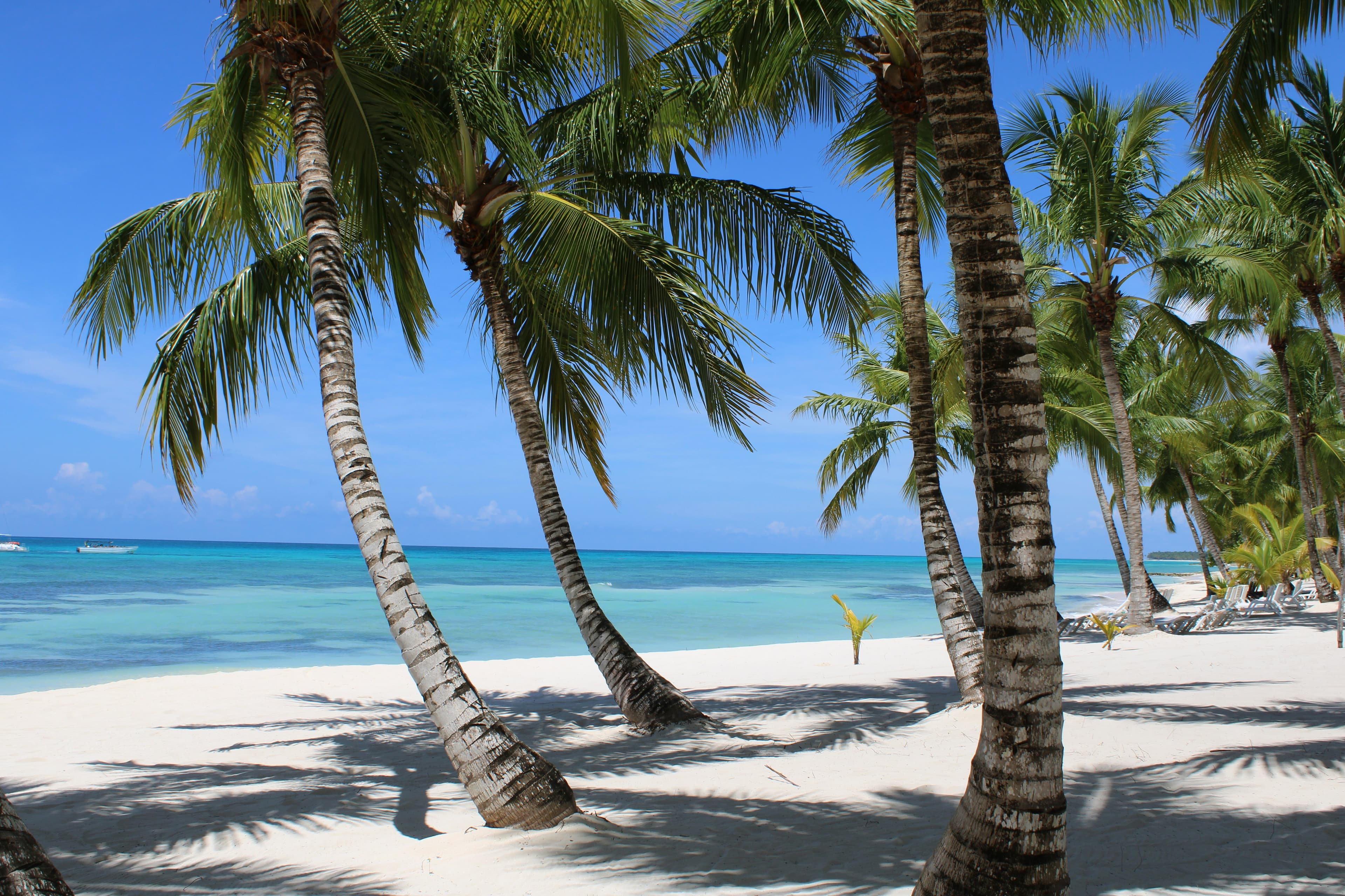 Playa tropical en Punta Cana